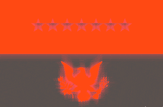 Regional Flag of Joint Task Force