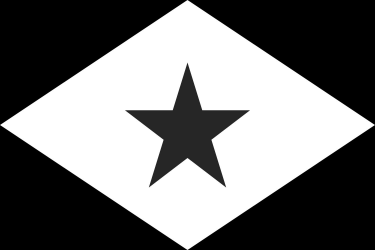 Regional Flag Flag