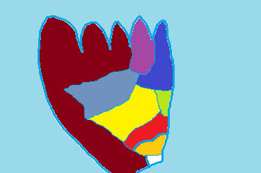 Regional Flag of Stubby Toe